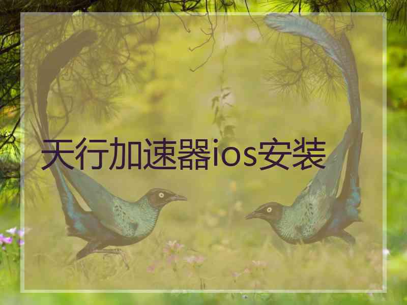 天行加速器ios安装