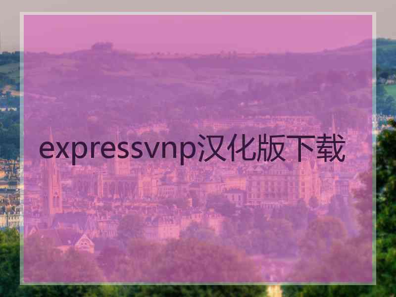 expressvnp汉化版下载