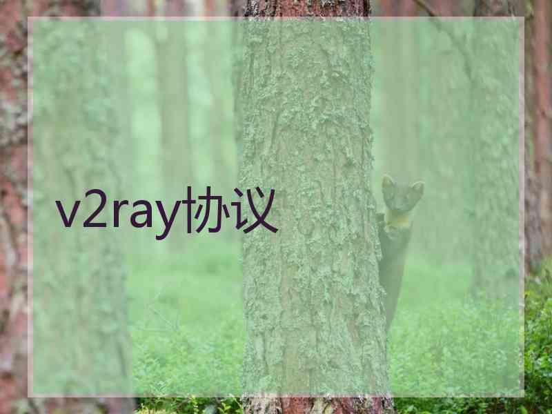 v2ray协议
