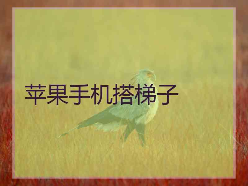 苹果手机搭梯子