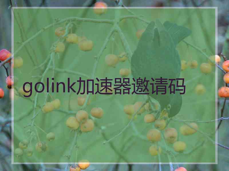 golink加速器邀请码