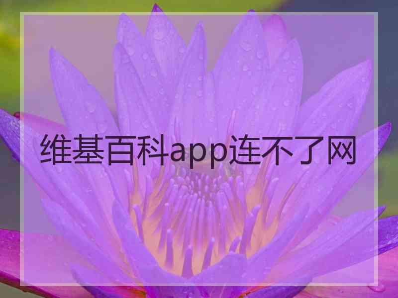 维基百科app连不了网