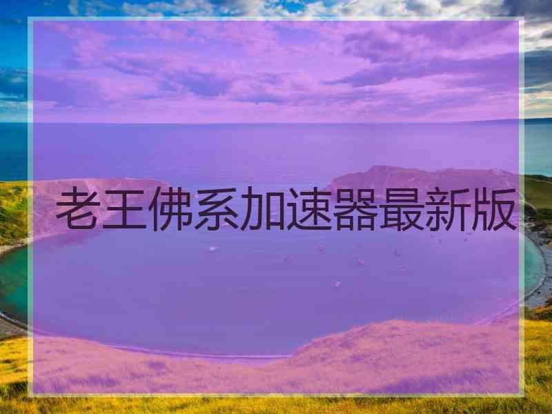 老王佛系加速器最新版