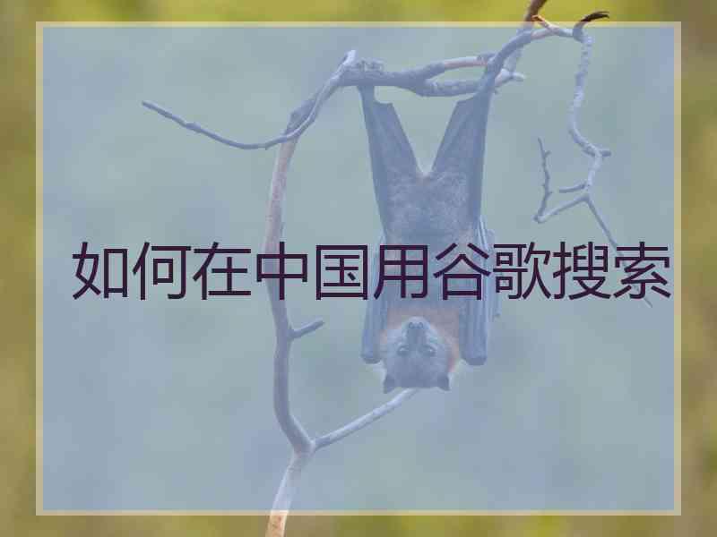 如何在中国用谷歌搜索