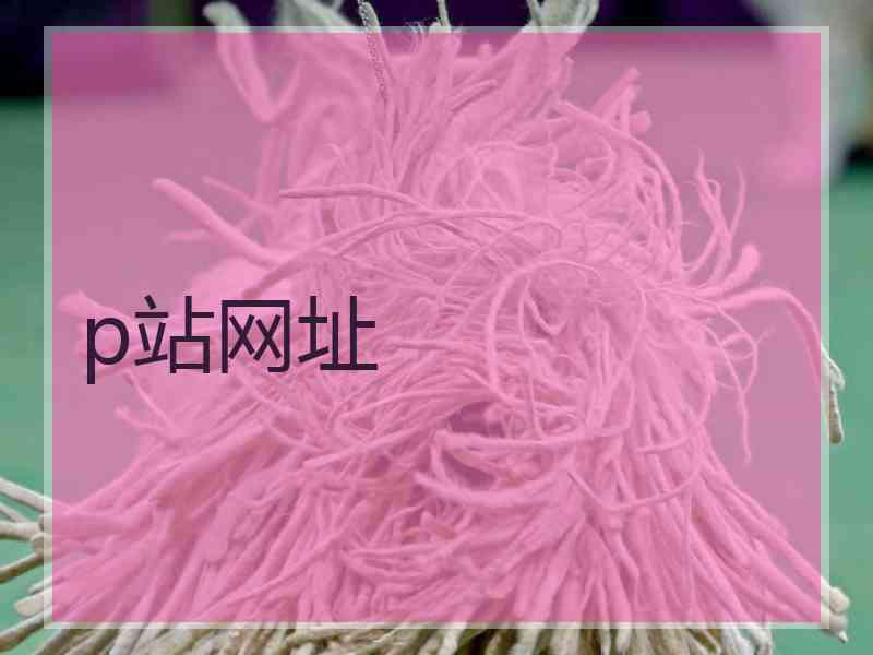 p站网址
