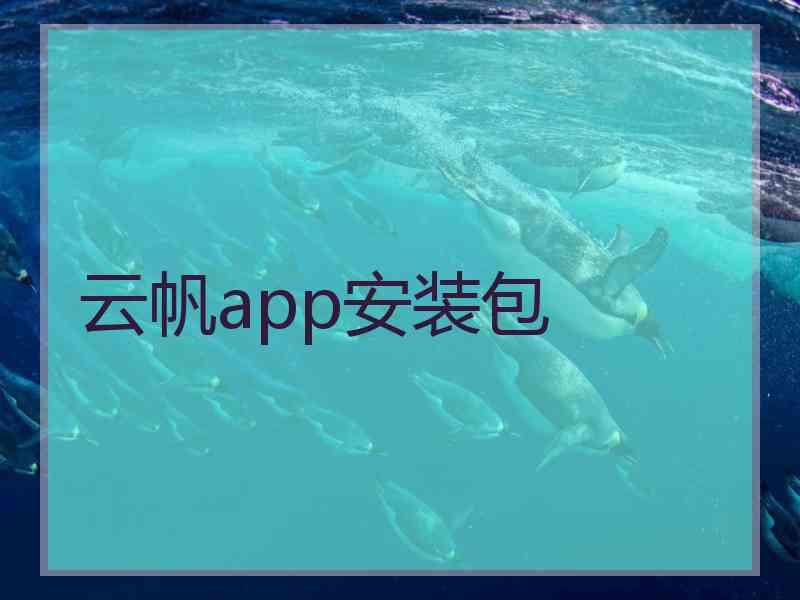 云帆app安装包