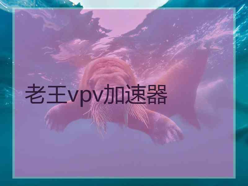 老王vpv加速器