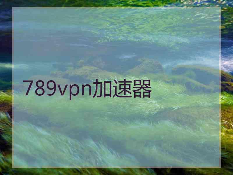 789vpn加速器
