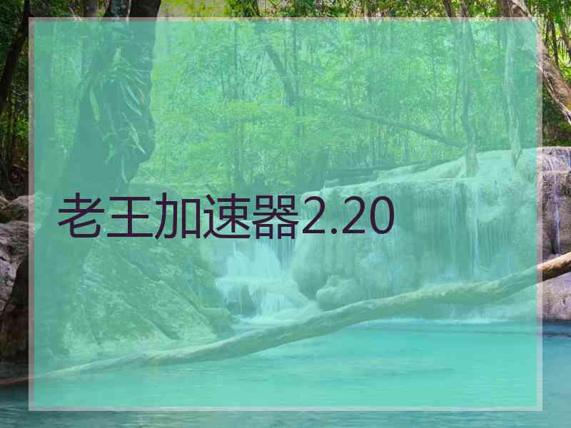 老王加速器2.20
