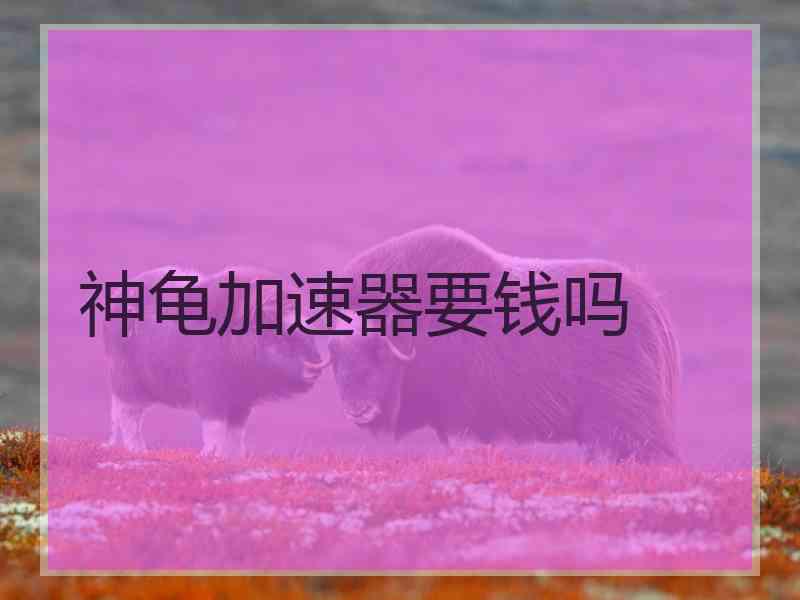 神龟加速器要钱吗