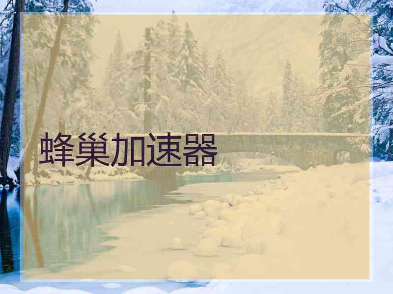 蜂巢加速器