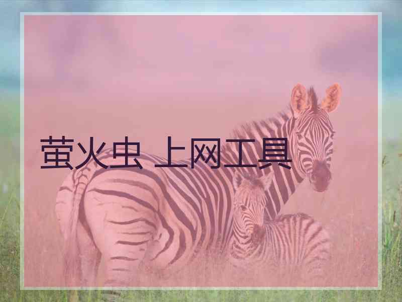 萤火虫 上网工具