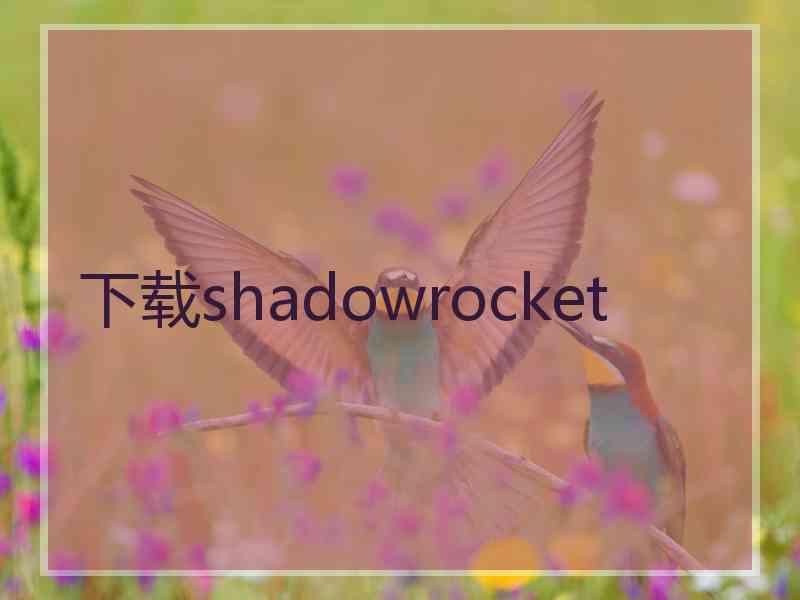下载shadowrocket