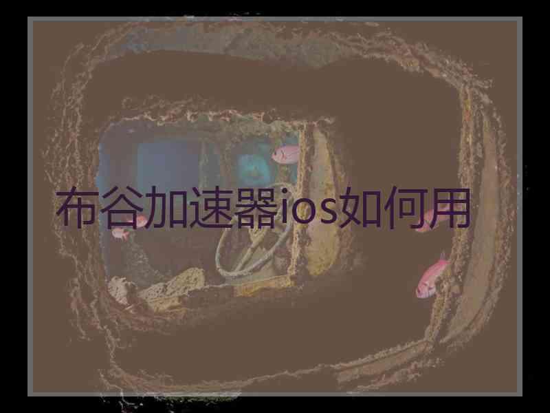 布谷加速器ios如何用