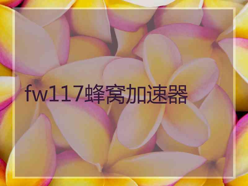 fw117蜂窝加速器