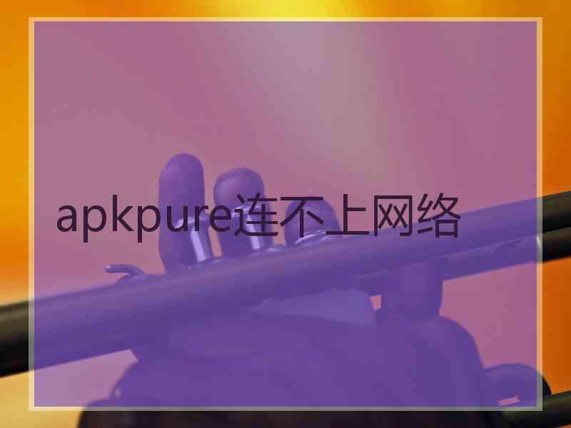apkpure连不上网络