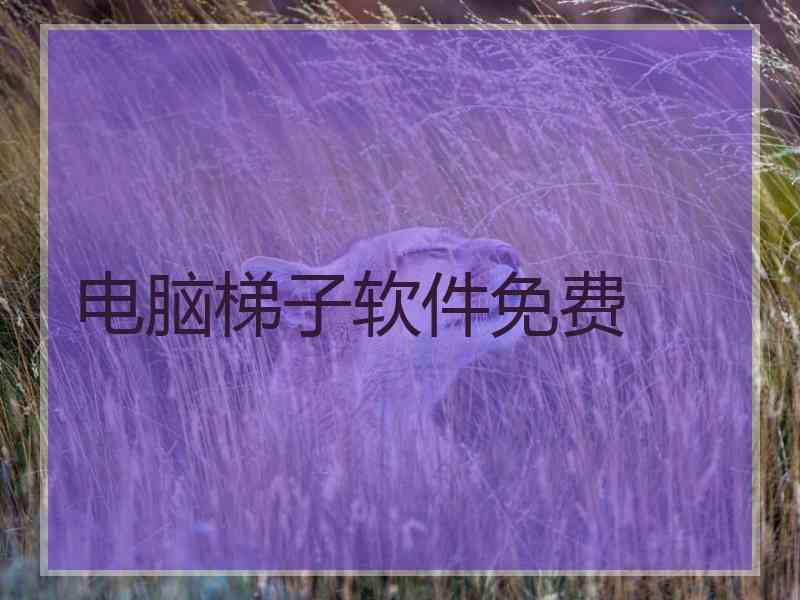 电脑梯子软件免费