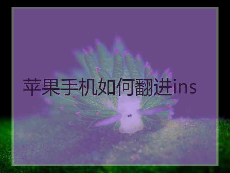 苹果手机如何翻进ins