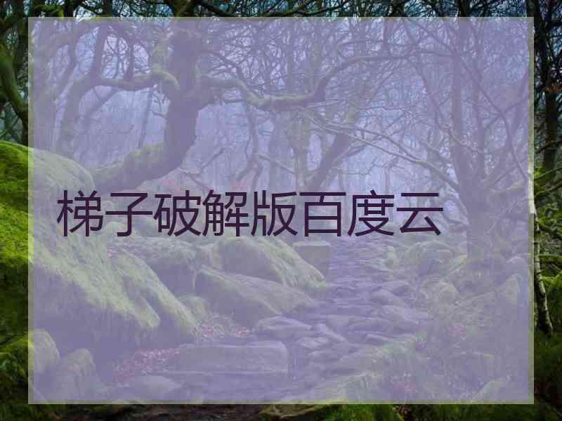 梯子破解版百度云