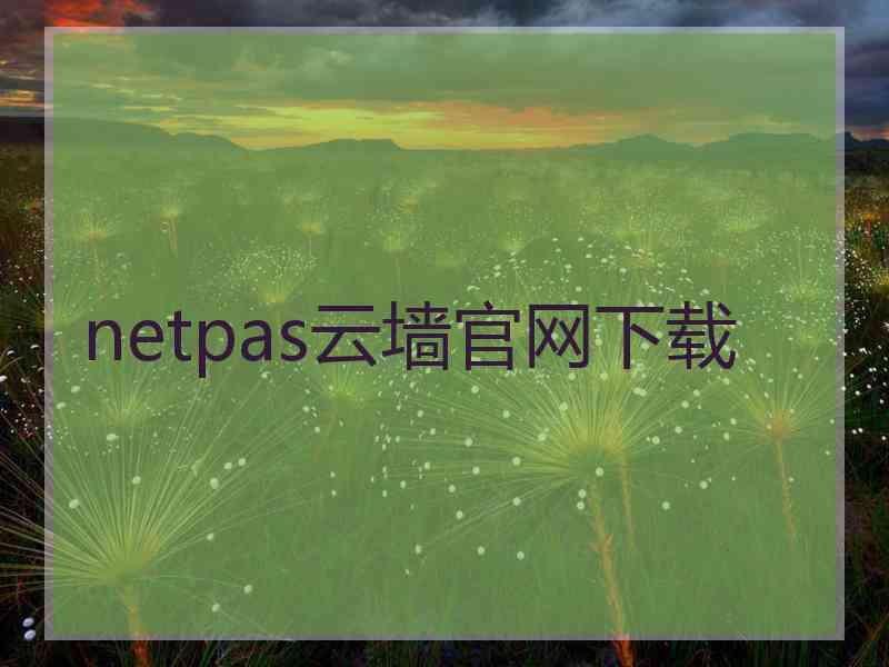 netpas云墙官网下载