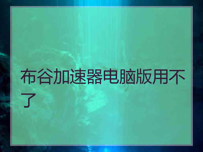 布谷加速器电脑版用不了