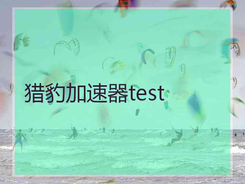 猎豹加速器test