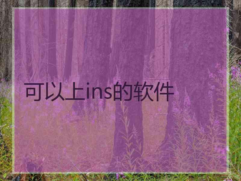 可以上ins的软件