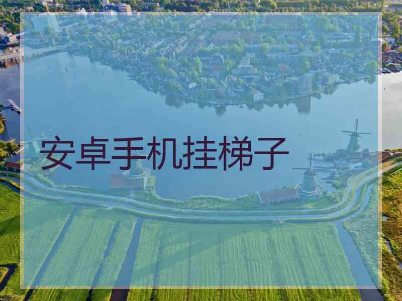 安卓手机挂梯子