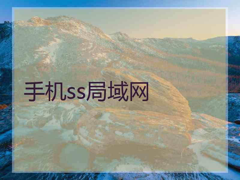 手机ss局域网