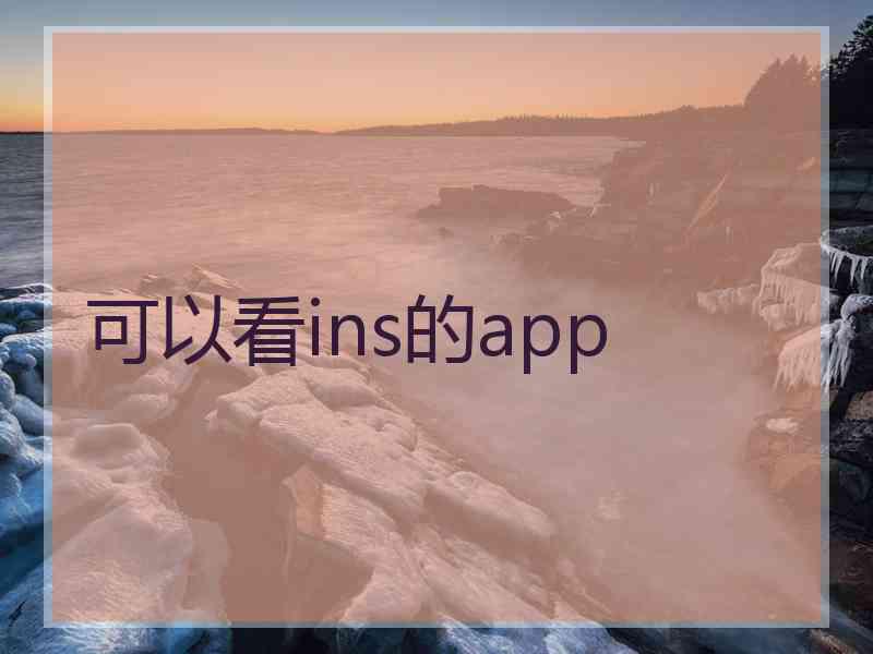 可以看ins的app
