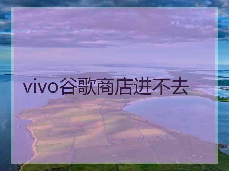 vivo谷歌商店进不去