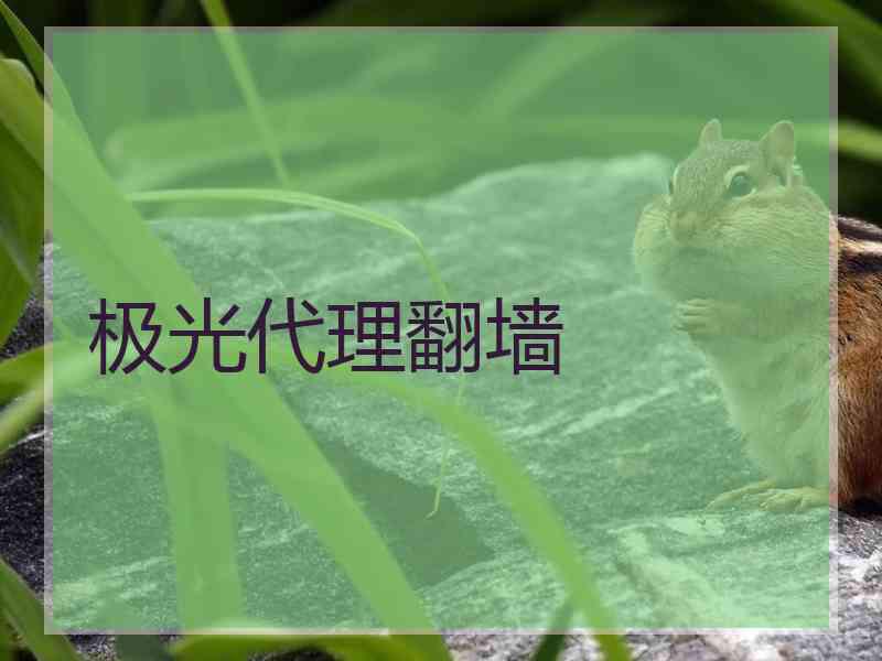 极光代理翻墙
