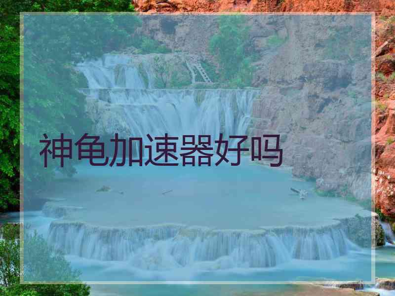 神龟加速器好吗