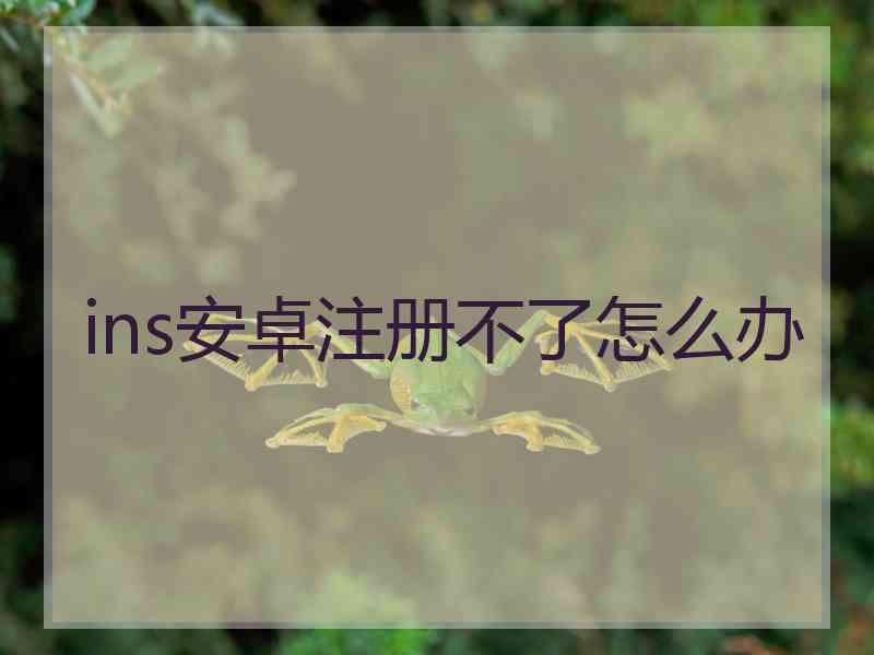 ins安卓注册不了怎么办