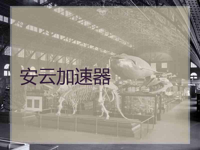 安云加速器