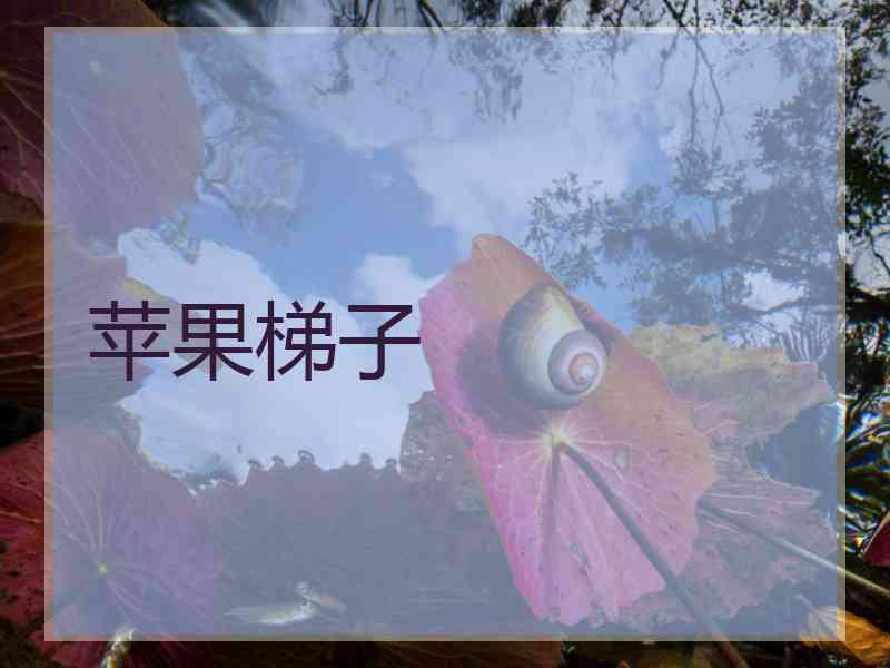 苹果梯子