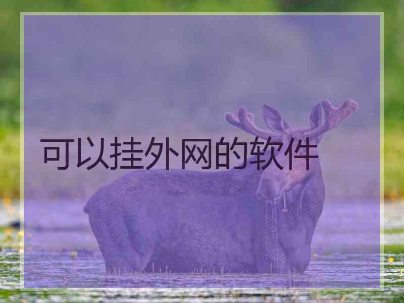 可以挂外网的软件