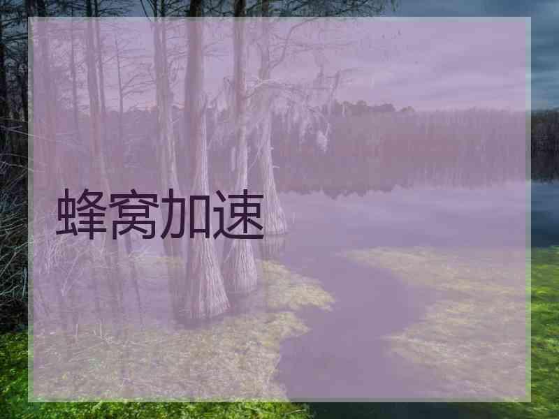 蜂窝加速
