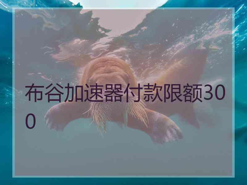 布谷加速器付款限额300