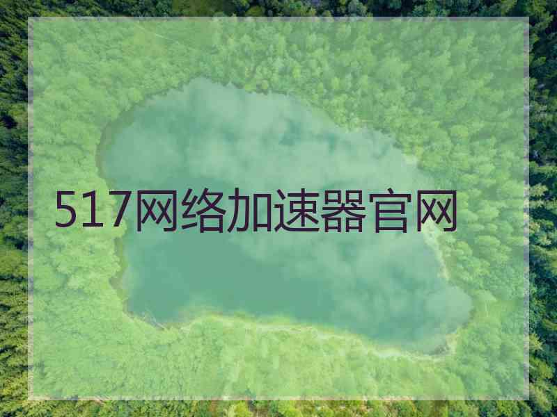 517网络加速器官网