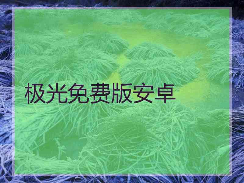 极光免费版安卓
