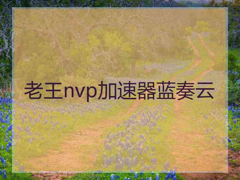 老王nvp加速器蓝奏云