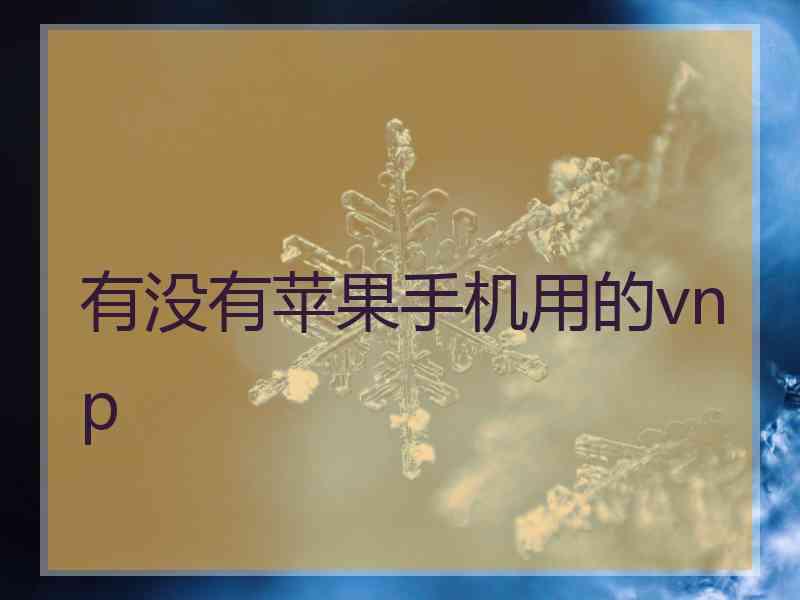 有没有苹果手机用的vnp
