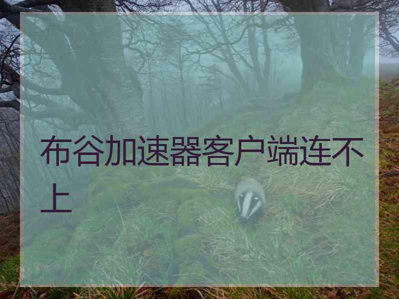 布谷加速器客户端连不上