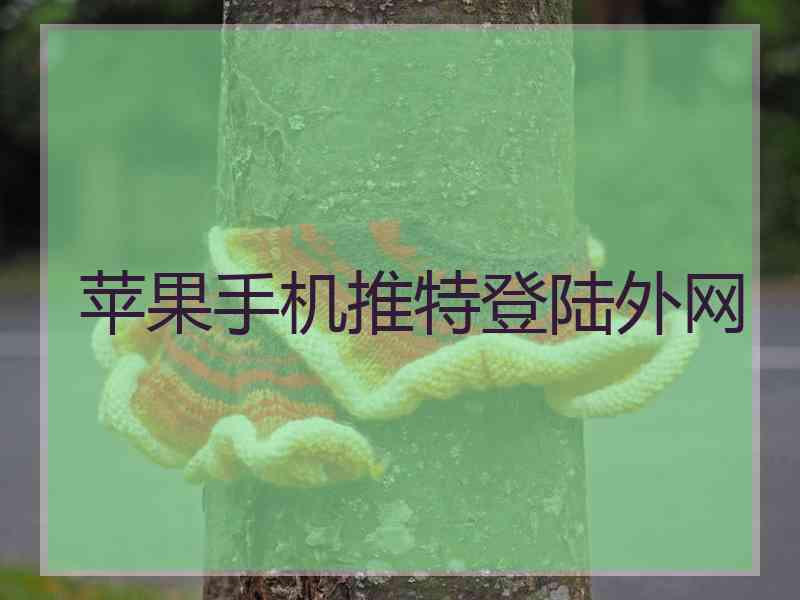 苹果手机推特登陆外网