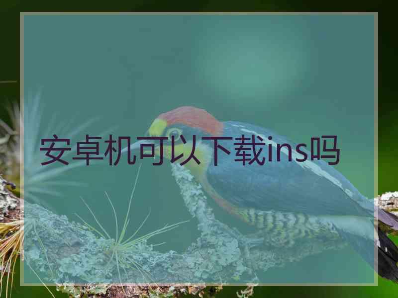 安卓机可以下载ins吗
