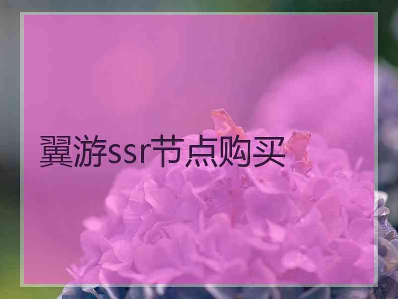 翼游ssr节点购买