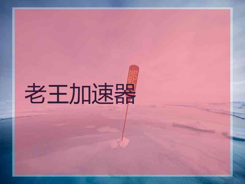 老王加速器