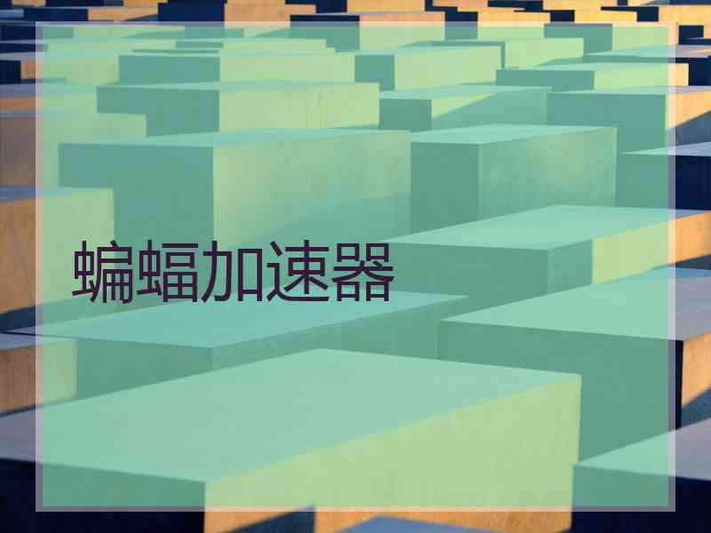 蝙蝠加速器
