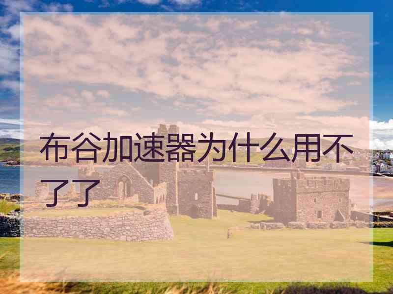 布谷加速器为什么用不了了